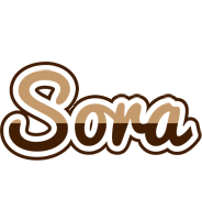 Sora exclusive logo