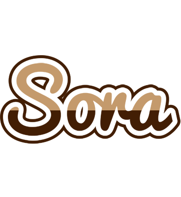 Sora exclusive logo