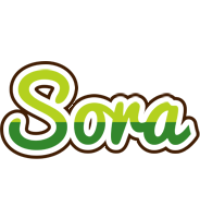 Sora golfing logo