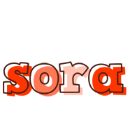 Sora paint logo