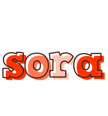 Sora paint logo
