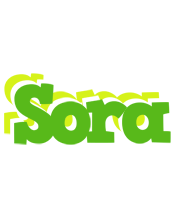 Sora picnic logo