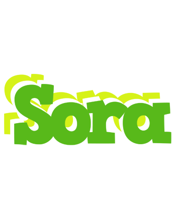 Sora picnic logo