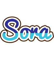 Sora raining logo