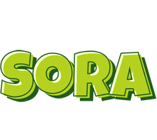 Sora summer logo