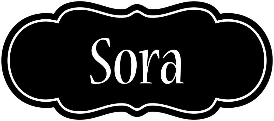 Sora welcome logo