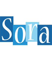 Sora winter logo