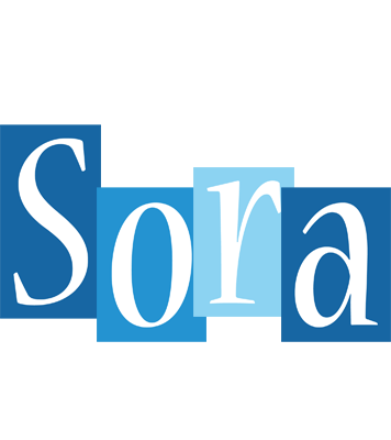 Sora winter logo
