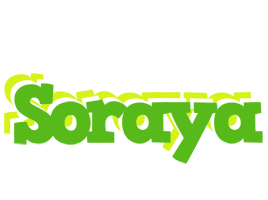 Soraya picnic logo