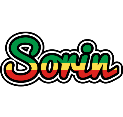 Sorin african logo