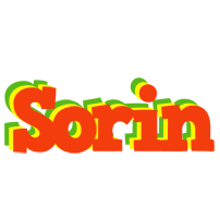 Sorin bbq logo