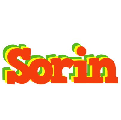 Sorin bbq logo