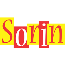 Sorin errors logo