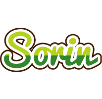 Sorin golfing logo