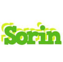 Sorin picnic logo