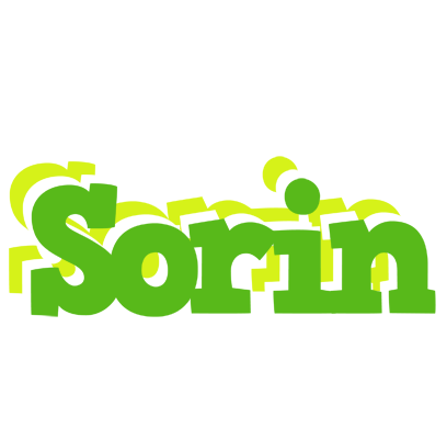 Sorin picnic logo