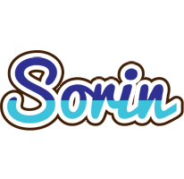 Sorin raining logo