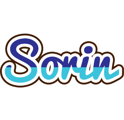 Sorin raining logo