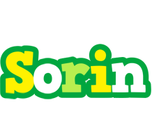 Sorin soccer logo