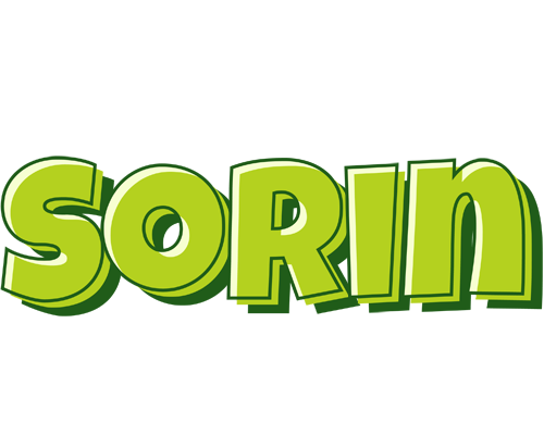 Sorin summer logo