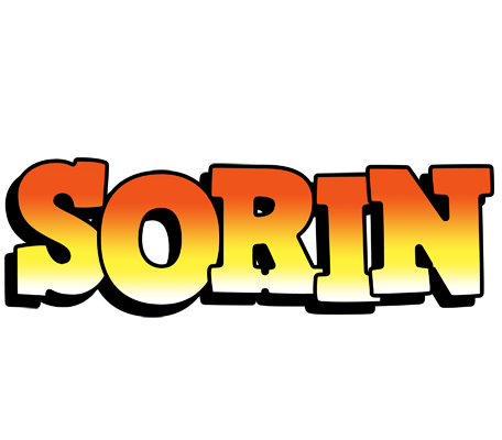 Sorin sunset logo
