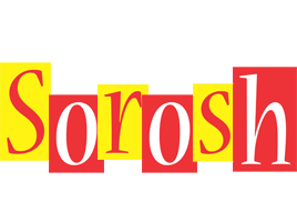 Sorosh errors logo