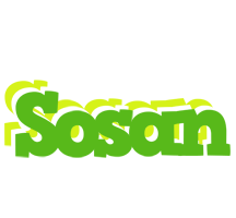 Sosan picnic logo