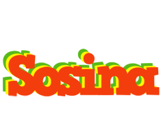 Sosina bbq logo