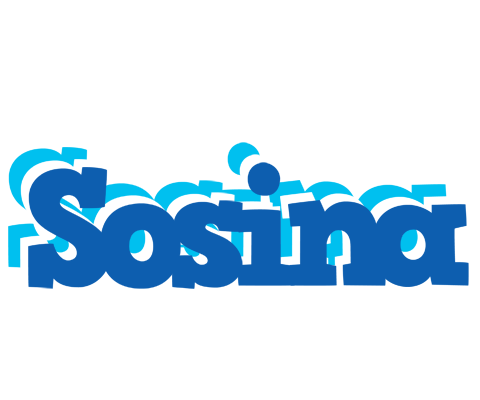 Sosina business logo