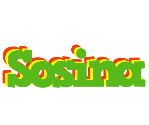 Sosina crocodile logo