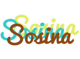 Sosina cupcake logo