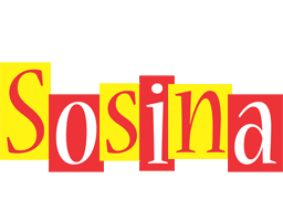 Sosina errors logo