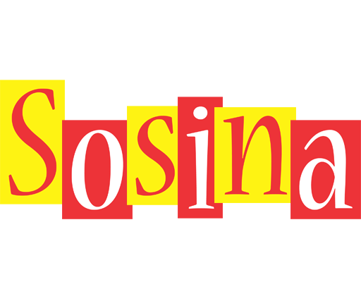 Sosina errors logo