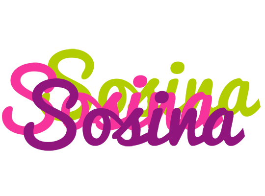 Sosina flowers logo