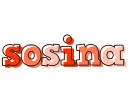 Sosina paint logo