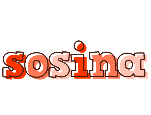 Sosina paint logo