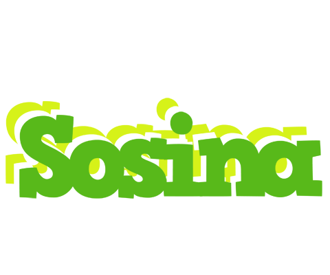 Sosina picnic logo