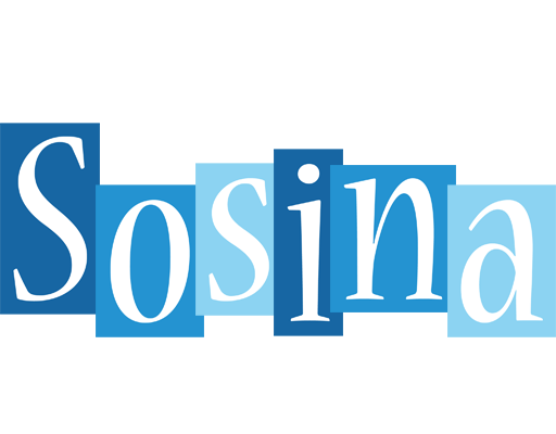 Sosina winter logo