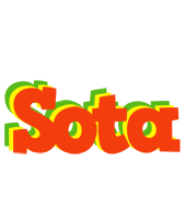 Sota bbq logo