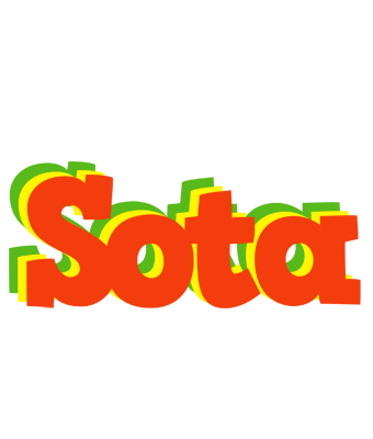 Sota bbq logo