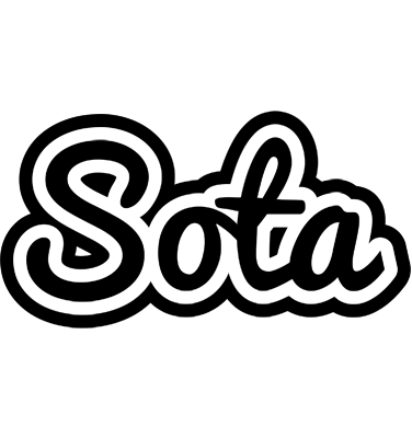 Sota chess logo