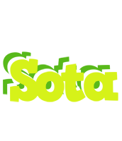 Sota citrus logo