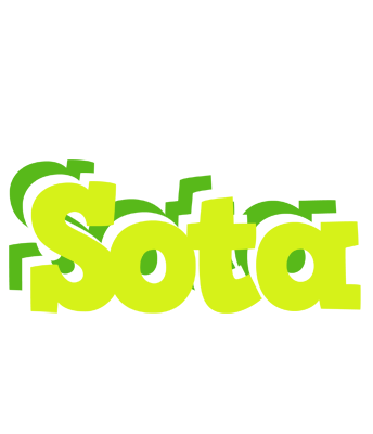 Sota citrus logo