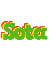 Sota crocodile logo