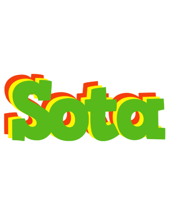 Sota crocodile logo