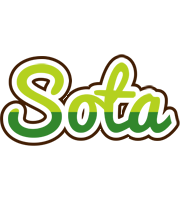 Sota golfing logo