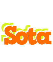 Sota healthy logo