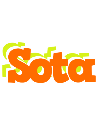 Sota healthy logo
