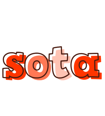 Sota paint logo