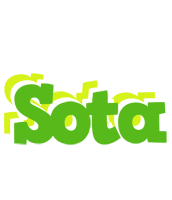 Sota picnic logo